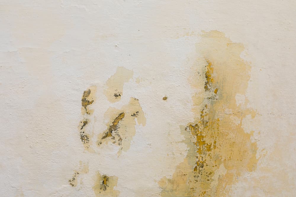 Cómo eliminar eficazmente la humedad en las paredes de tu hogar 1 pared con manchas de humedad